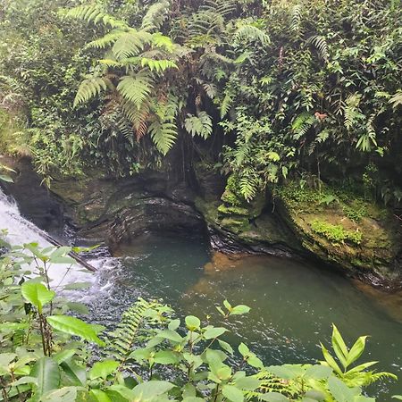La Serena Reserva Natural Concepcion Εξωτερικό φωτογραφία