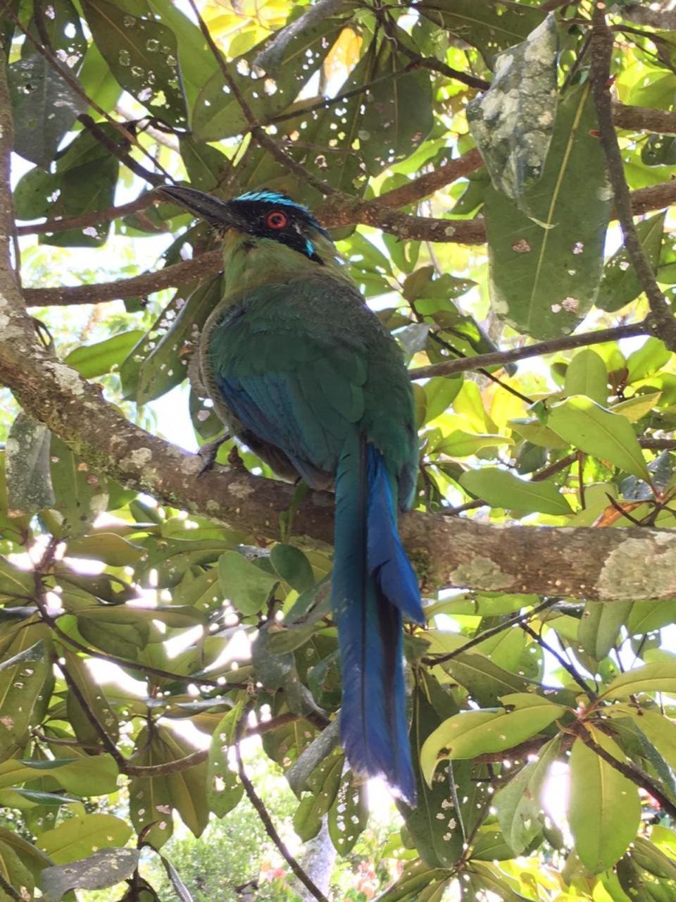 La Serena Reserva Natural Concepcion Εξωτερικό φωτογραφία