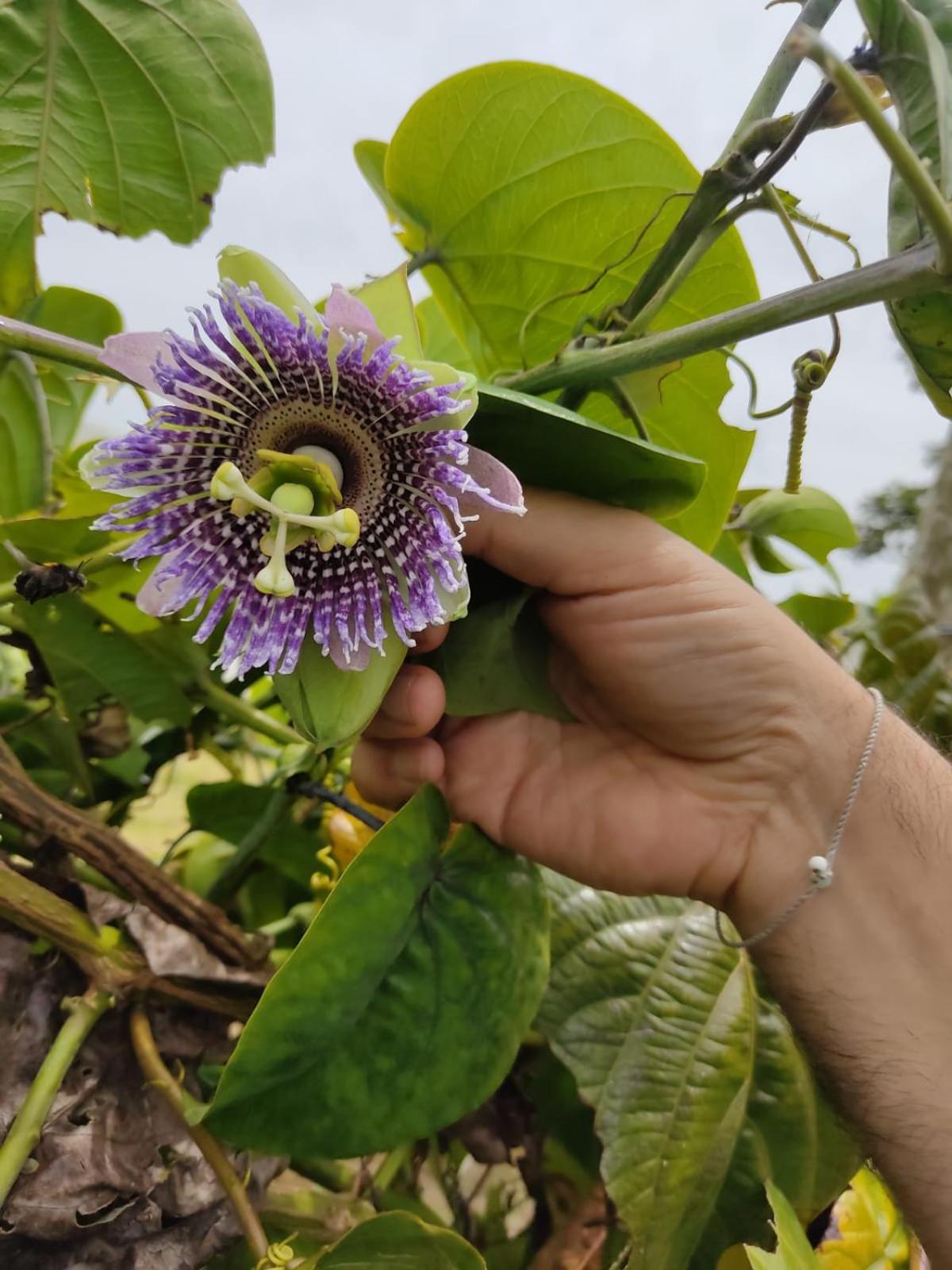 La Serena Reserva Natural Concepcion Εξωτερικό φωτογραφία
