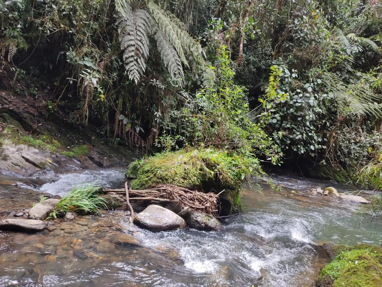 La Serena Reserva Natural Concepcion Εξωτερικό φωτογραφία