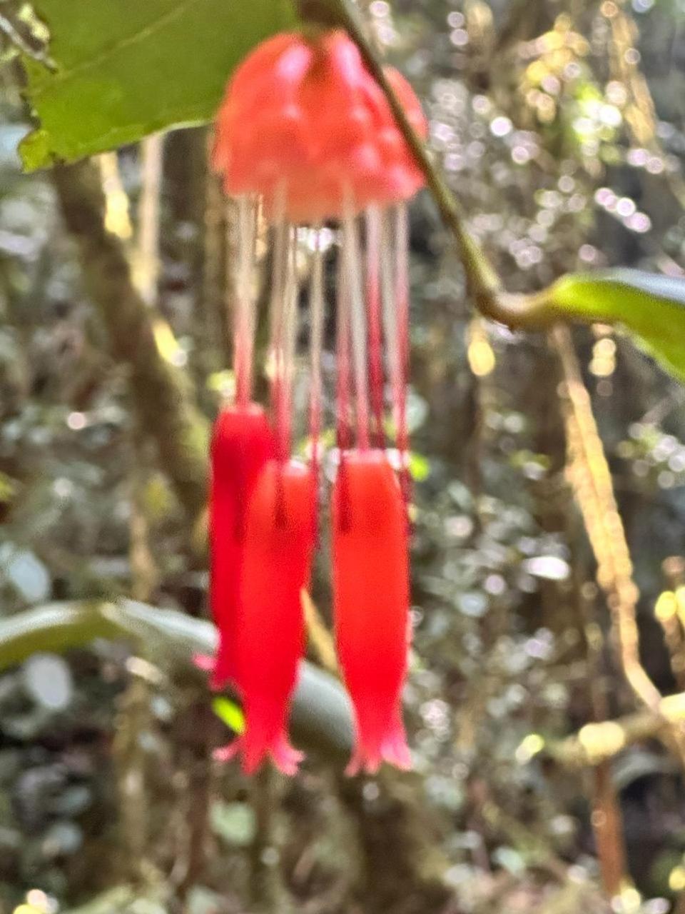 La Serena Reserva Natural Concepcion Εξωτερικό φωτογραφία