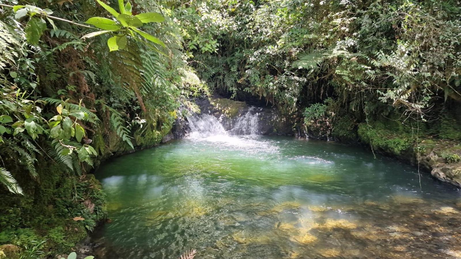 La Serena Reserva Natural Concepcion Εξωτερικό φωτογραφία